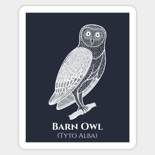 Barn Owl with Common and Scientific Names - animal design Sticker